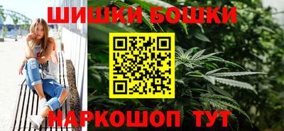 индика Нальчик