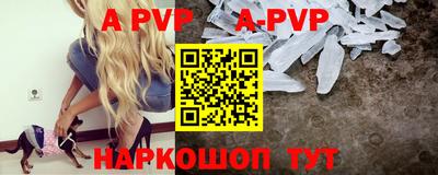 индика Нальчик