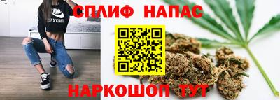 индика Нальчик
