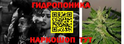 индика Нальчик