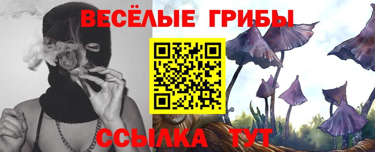 Псилоцибиновые грибы Psilocybe  Вход с VPN  Псилоцибиновые грибы ЛСД  Ульяновск 