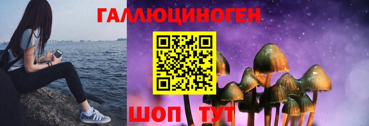 Галлюциногенные грибы MAGIC MUSHROOMS Ульяновск